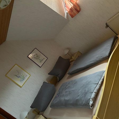 Birke 9 Daire Todtmoos Dış mekan fotoğraf