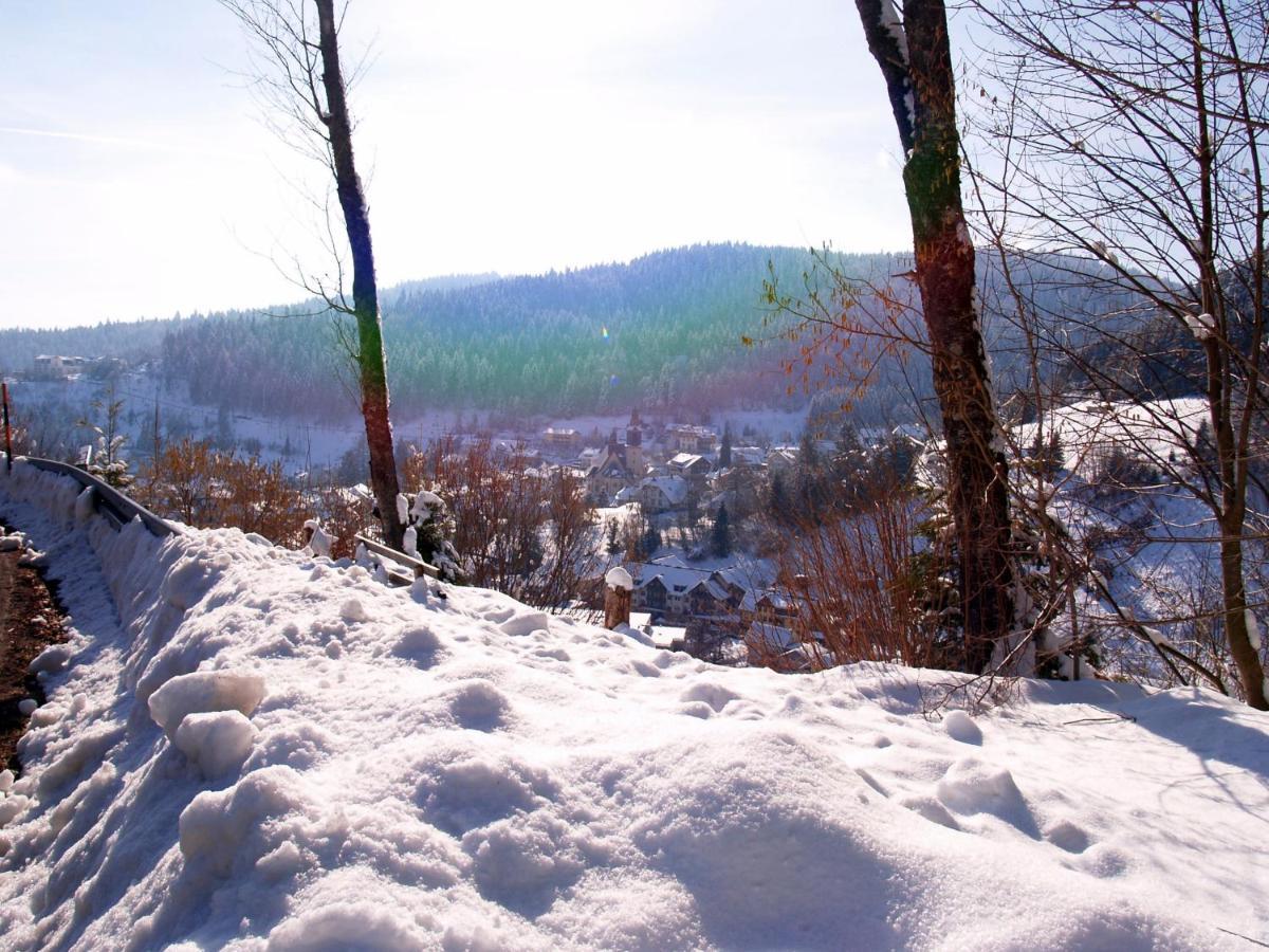 Birke 9 Daire Todtmoos Dış mekan fotoğraf